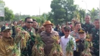 Panen Bawang Merah Urban Farming Kodim 0508 Depok, Ketua PN Depok: Kurangi Angka Pengangguran 