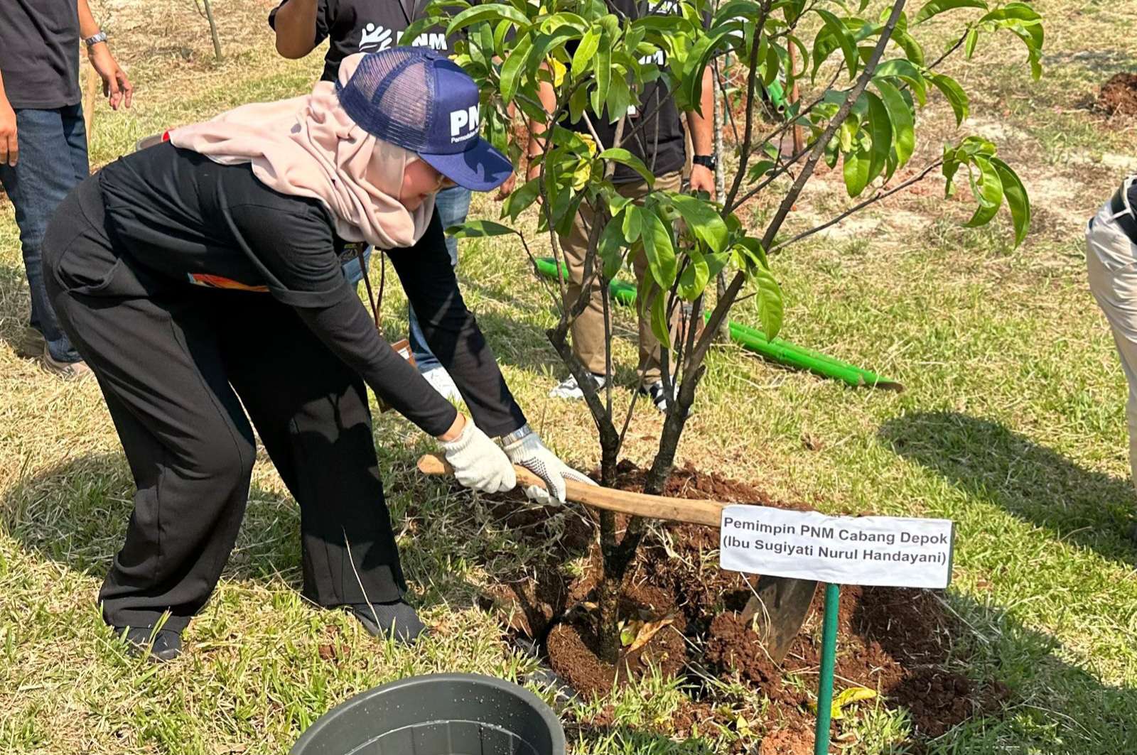 PNM Salurkan 1.000 Bibit Pohon untuk Taman Alun-alun Barat Kota Depok